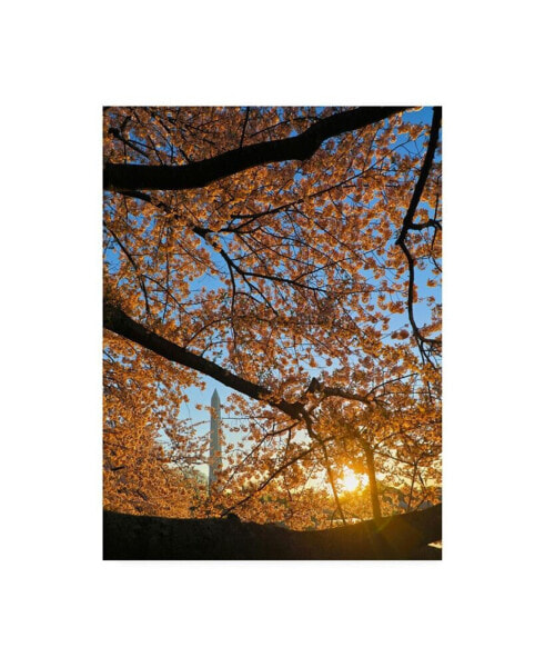 Mitch Catanzaro Cherry Blossom Sunrise Canvas Art - 27" x 33.5"