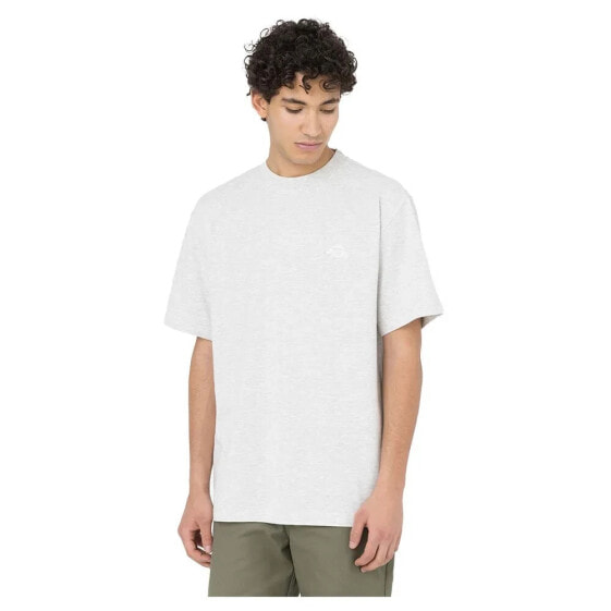 DICKIES Summerdale short sleeve T-shirt