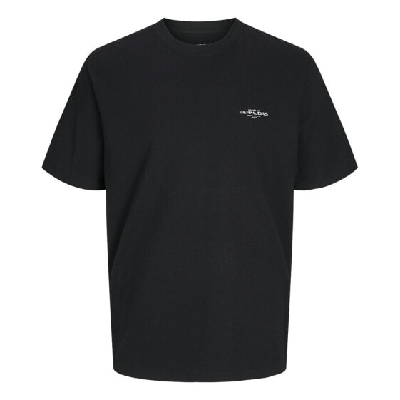 JACK & JONES Conte Plus Size short sleeve T-shirt