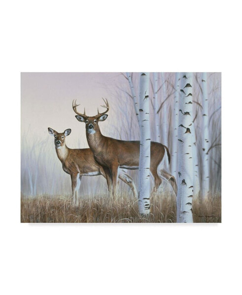 Rusty Frentner 'Deer In Birch Woods' Canvas Art - 35" x 47"