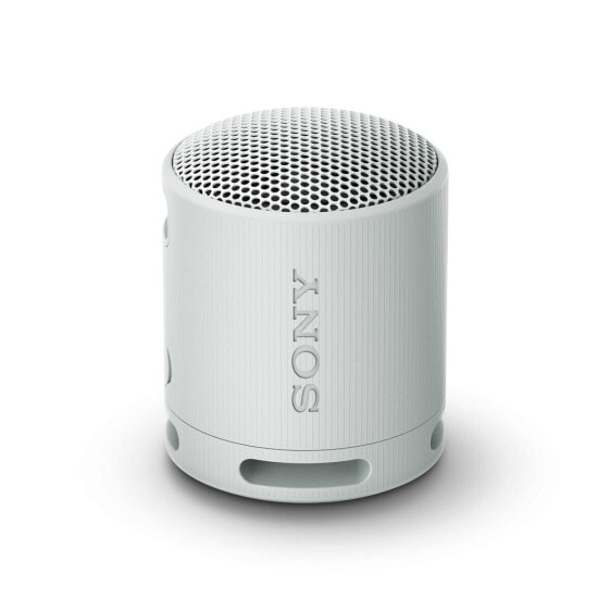 Портативный Bluetooth-динамик Sony Серый