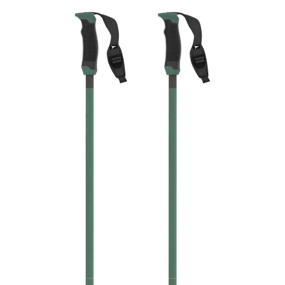 ATOMIC Redster Q Carbon SQS poles