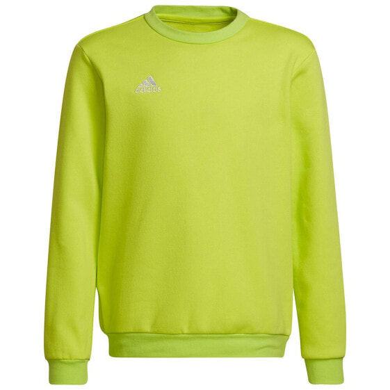 ADIDAS Entrada 22 Stadium SW sweatshirt