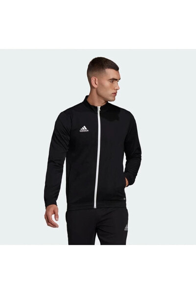 Толстовка Adidas Ent22 Jkt Syh-Byz