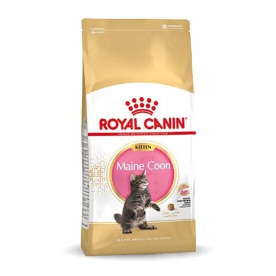 ROYAL CANIN Maine Coon Kitten 10kg Cat Food