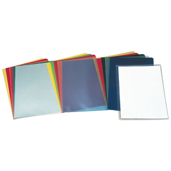 ESSELTE 30F PVC 140 Microns Dossier Folder 100 Units