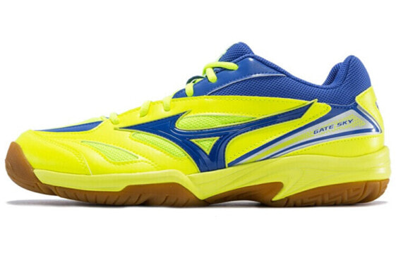 Кроссовки Mizuno Gate Sky 71GA174026