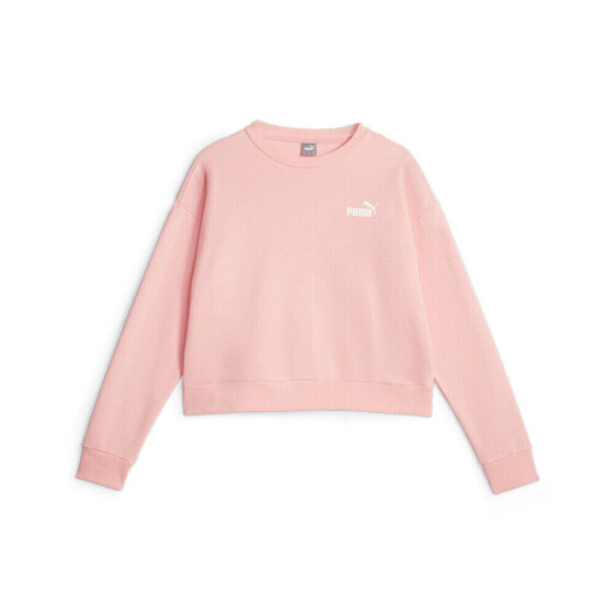 Puma Essentials Relaxed Small Logo Crew Neck Sweatshirt Womens Pink 67680163