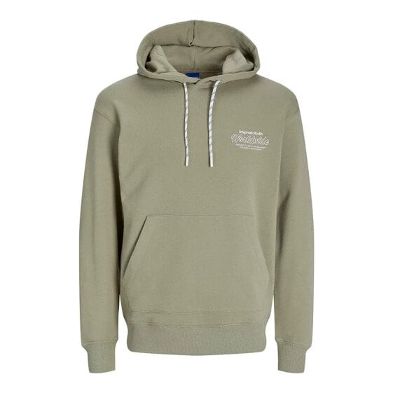 JACK & JONES Sequoia hoodie