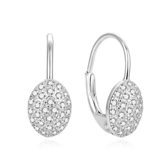 Charming silver glittering earrings AGUC2207DL