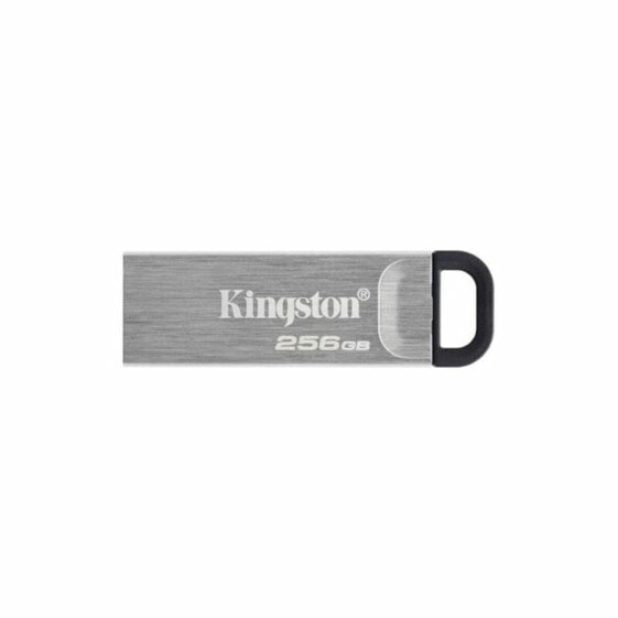 Pendrive Kingston DTKN/256GB USB 3.2 Чёрный 256 GB