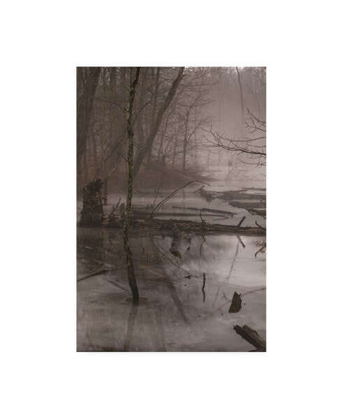 Trademark Global kurt Shaffer Photographs Foggy frozen marsh Canvas Art - 15.5" x 21"