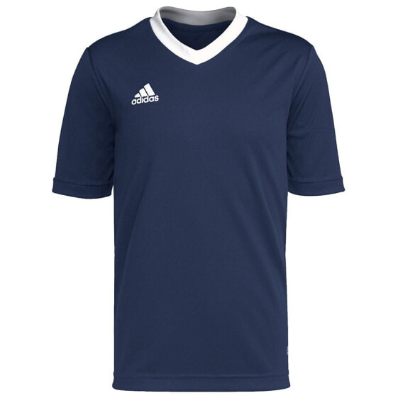 ADIDAS Entrada 22 short sleeve T-shirt