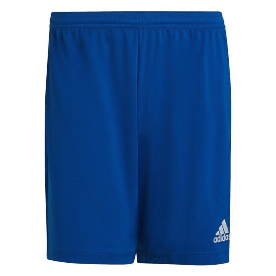 Спортивные шорты Adidas Entrada 22