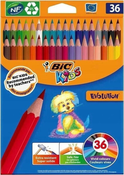 Bic Kredki ołówkowe Kids Evolution ECOlutions 36szt