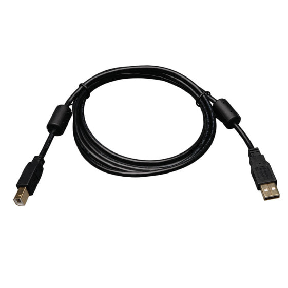 Tripp U023-006 USB 2.0 A to B Cable with Ferrite Chokes (M/M) - 6 ft. (1.83 m) - 1.83 m - USB A - USB B - USB 2.0 - Male/Male - Black
