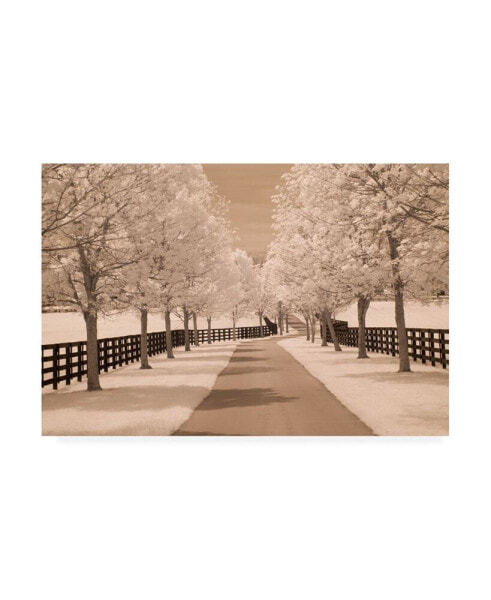 Monte Nagler Fence and Trees Kentucky 2 Canvas Art - 15" x 20"