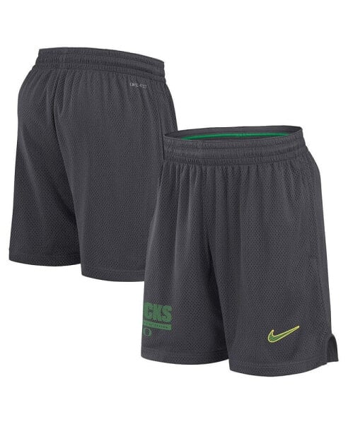 Men's Anthracite Oregon Ducks 2024 Sideline Mesh Shorts