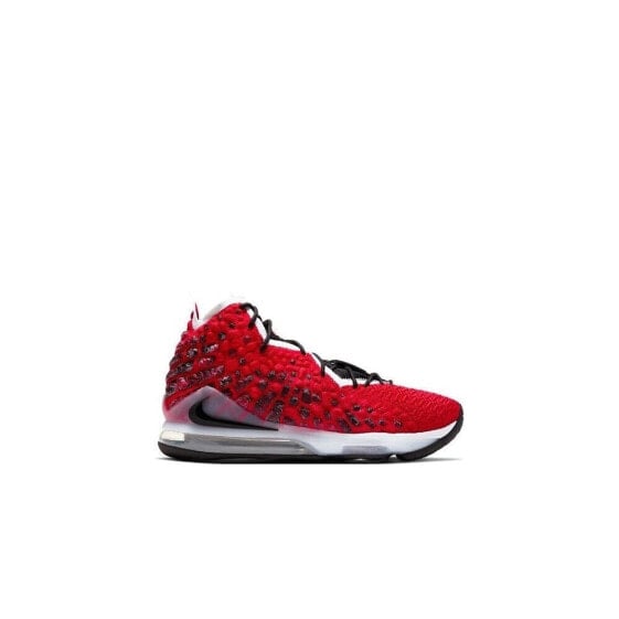 Ботинки мужские Nike Lebron Xvii
