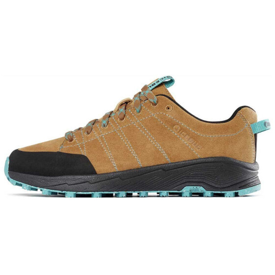 ICEBUG Tind RB9X hiking shoes