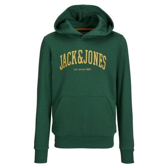 JACK & JONES Josh hoodie