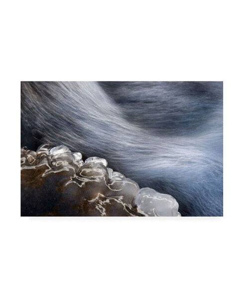 Vito Miribung Ice and Water Canvas Art - 37" x 49"