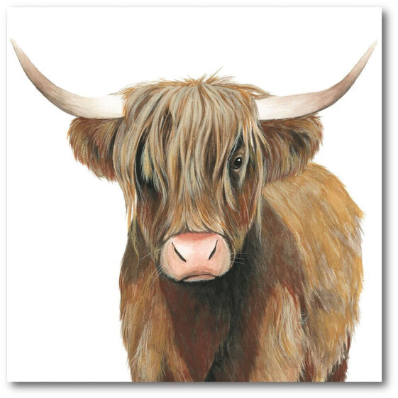 Highland Cattle II Gallery-Wrapped Canvas Wall Art - 20" x 20"