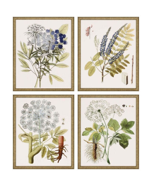 Paragon Lacy Leaves Framed Wall Art Set of 4, 21" x 17"
