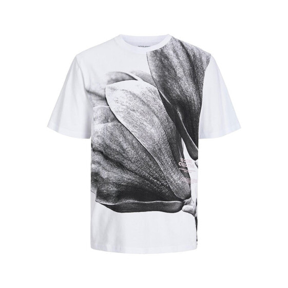 JACK & JONES Dunya short sleeve T-shirt