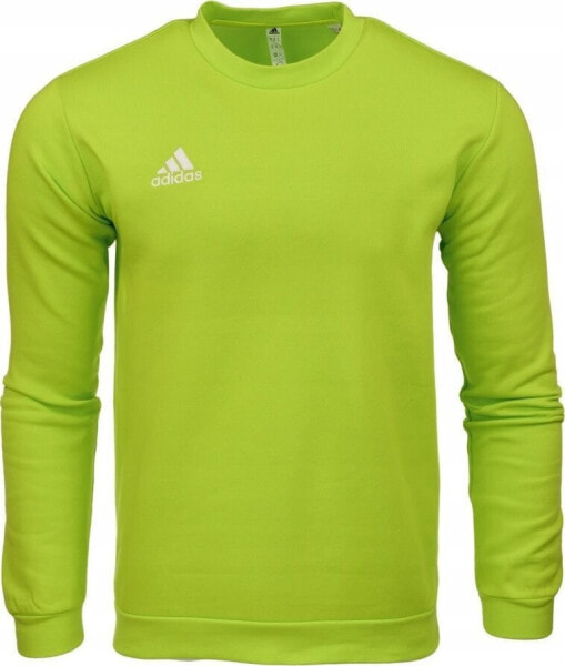 Adidas Bluza adidas ENTRADA 22 Sweat Top HC5049