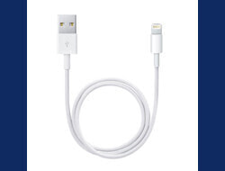 Apple Lightning to USB Cable - Cable - Digital 0.5 m - 4-pole