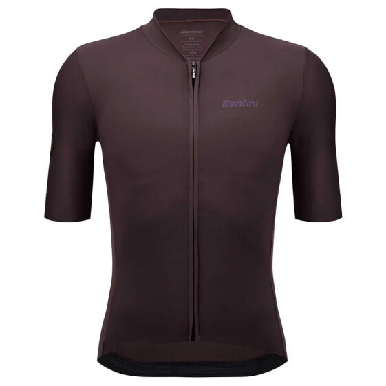 SANTINI Stone Light short sleeve jersey