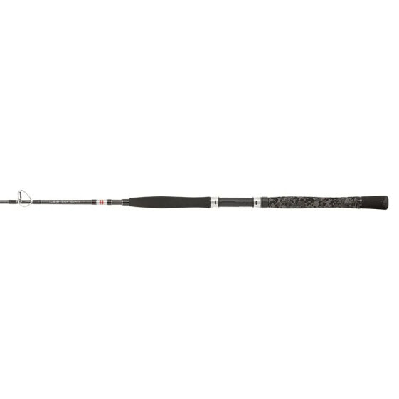 PENN Legion Silver Belly Pump Catfish Rod