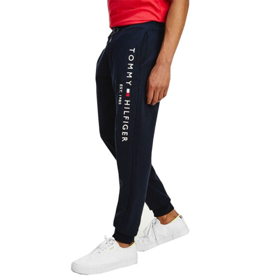 Спортивные брюки Tommy Hilfiger MW0MW08388DW5