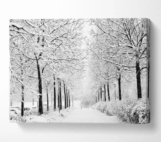 Winter im Park Schwarz -Weiß -Wandkunst