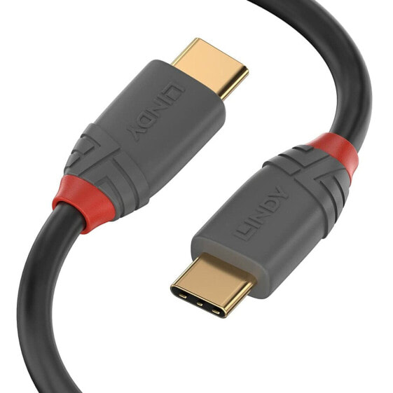 Кабель USB C LINDY 36901 1 m