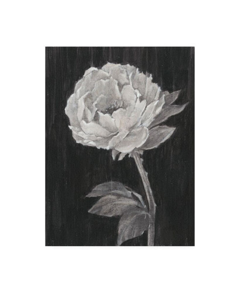 Ethan Harper Black and White Flowers II Canvas Art - 36.5" x 48"
