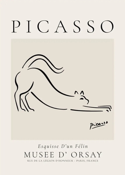 Poster Pablo Picasso The Cat
