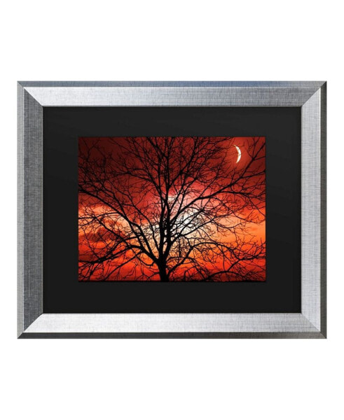 Philippe Sainte-Laudy Big Bad Moon Matted Framed Art - 20" x 25"