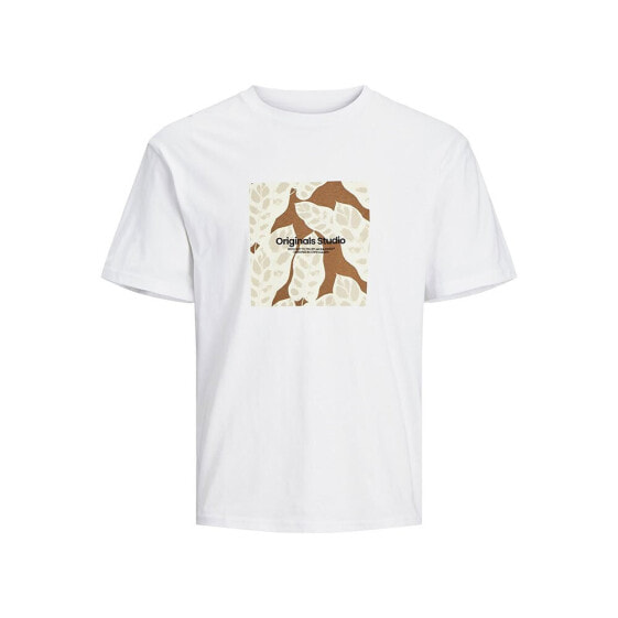 JACK & JONES 12256717 Sequoia short sleeve T-shirt