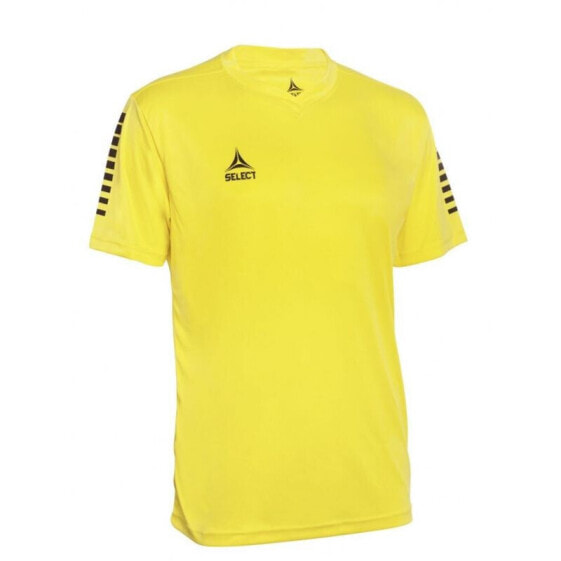 Футболка Select Pisa U T-shirt T26-01280 для мужчин