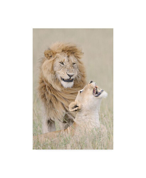 Muriel Vekemans Lion Lover Canvas Art - 20" x 25"