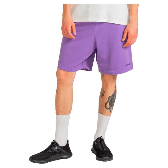 ELEMENT Cornell 3.0 shorts