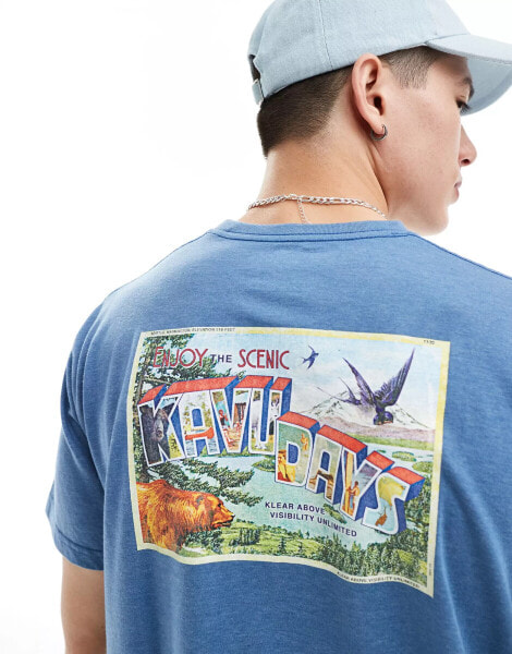 Kavu back graphic print t-shirt in blue