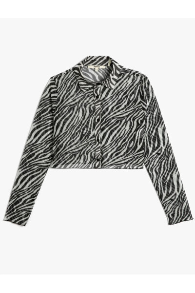 Crop Gömlek Zebra Desenli Düğmeli Klasik Yaka