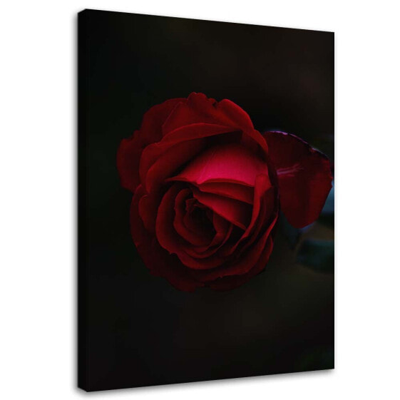 Wandbild Rote Rose Blume Natur