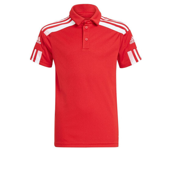 ADIDAS Squadra 21 short sleeve polo