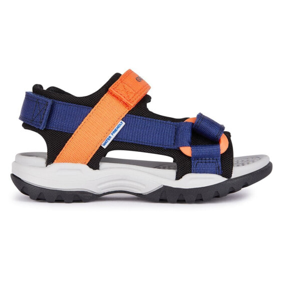 GEOX Borealis sandals