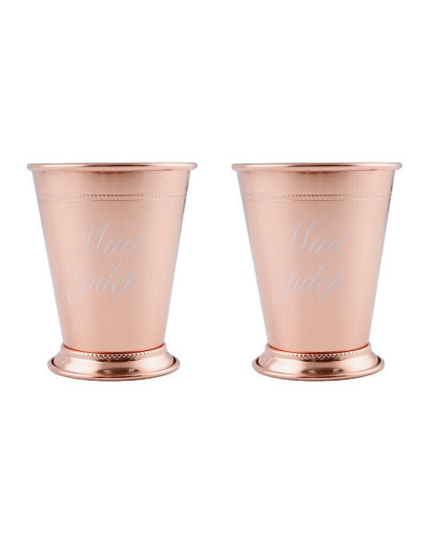 Stainless Steel Silver Mint Julep Cups, Set of 2