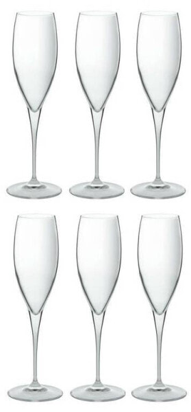 Champagnerglas Premium 6er Set